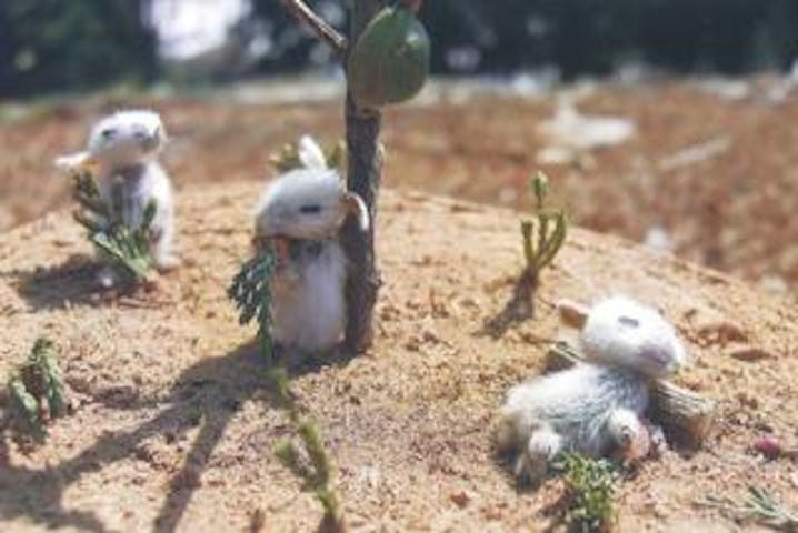 実家屋つまようじ・工房　創夢可