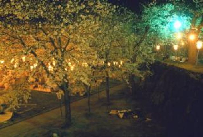 【2021年中止】飯山城址桜まつり