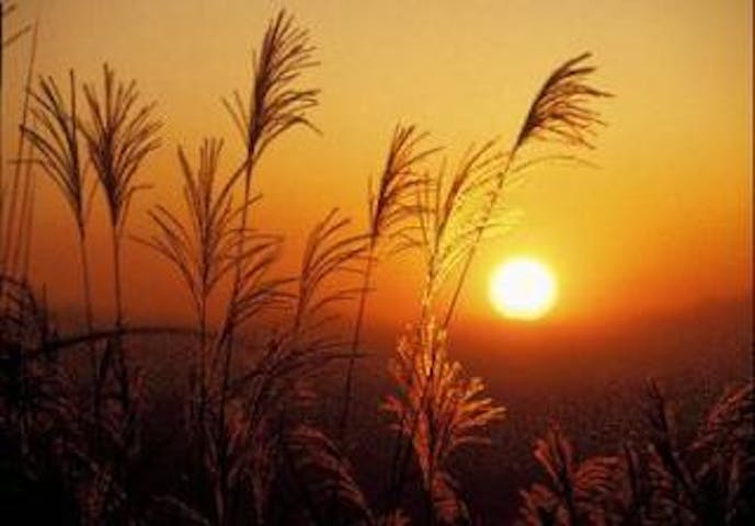 車山高原の紅葉