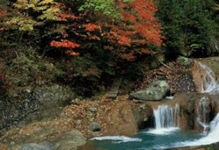 奥蓼科（おしどり隠しの滝・御射鹿池）