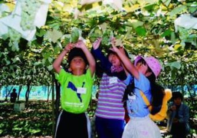 信州塩尻ぶどうまつり