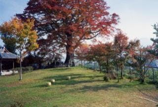 スポットの写真