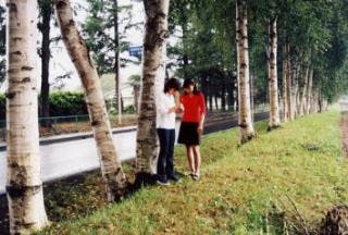 スポットの写真