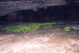 スポットの写真