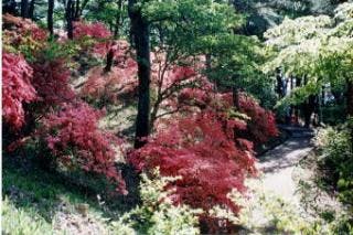 スポットの写真