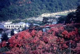 スポットの写真