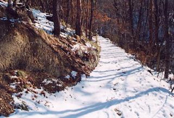 五里ヶ峰登山道