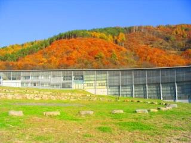 大田区休養村とうぶ（体育館）