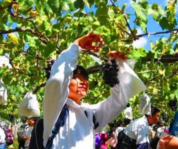 信州東御市振興公社 湯楽里館物産センター