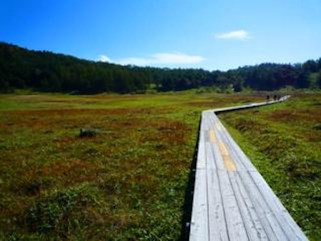 池の平湿原
