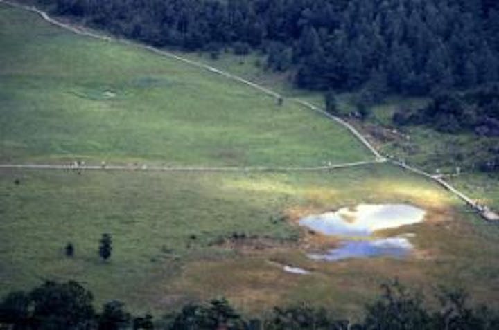池の平湿原トレッキング