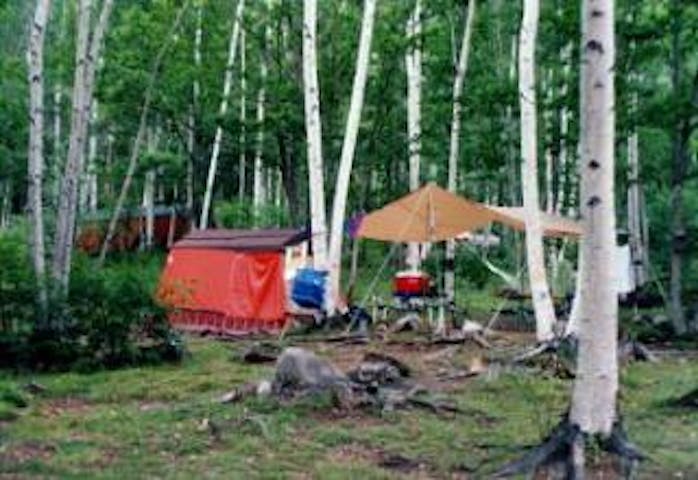 金峰山荘・廻り目平キャンプ場