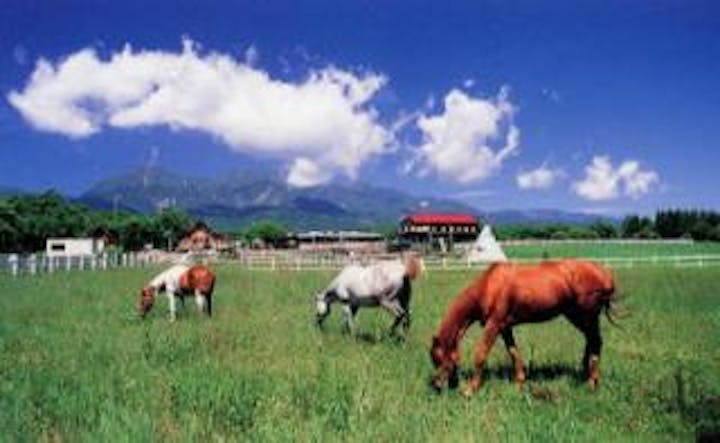 滝沢牧場