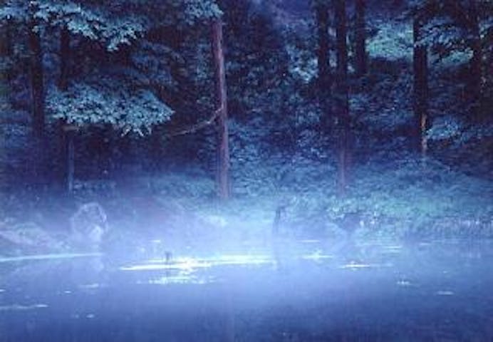 真楽寺　大沼の池