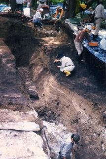 スポットの写真