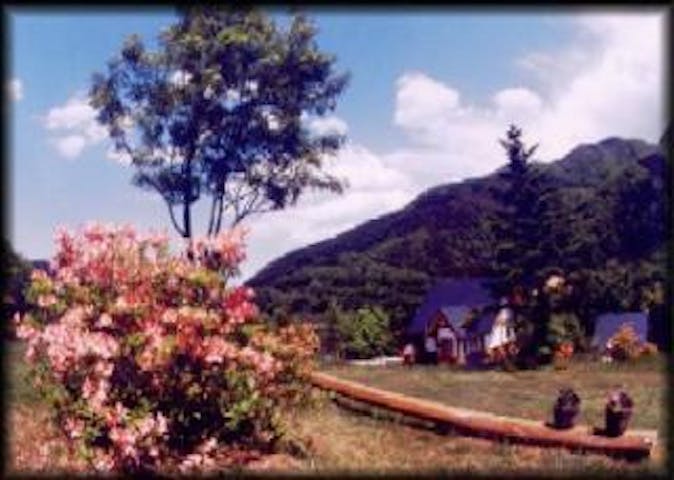 ミヤシタ・ヒルズオートキャンプ場