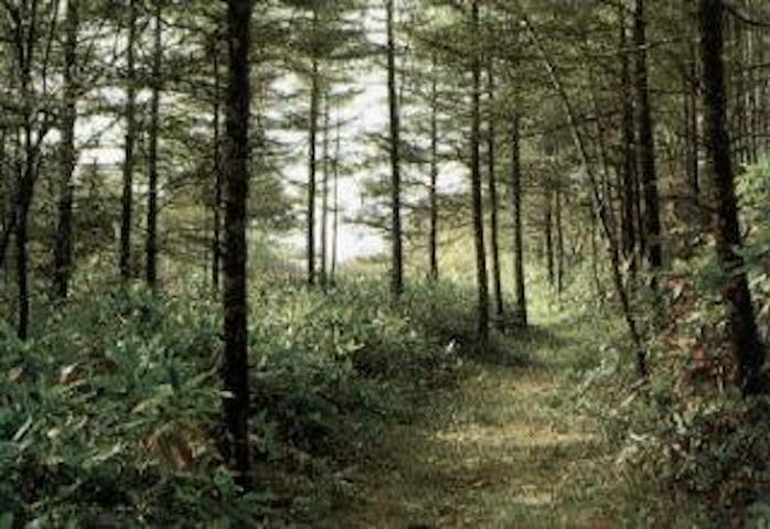 歴史の道「史跡　中山道」