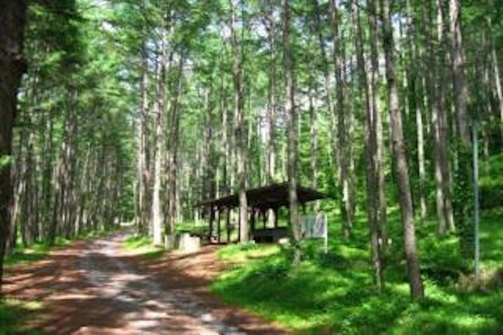立場川キャンプ場