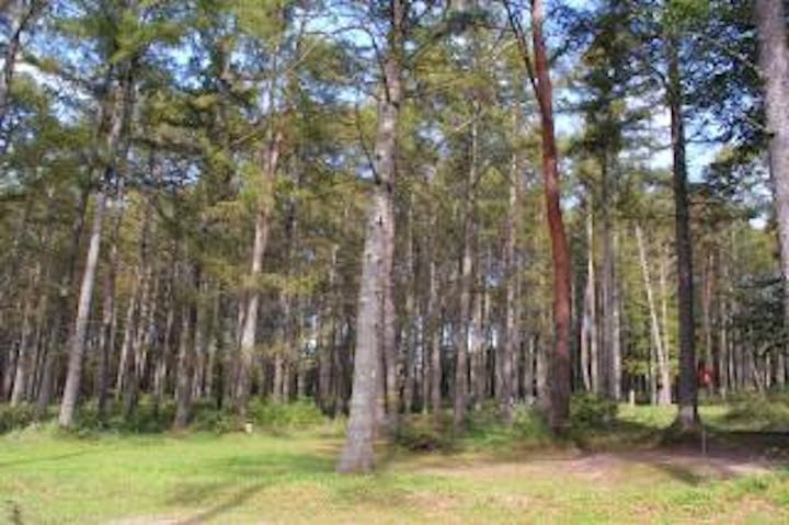 御山マレットゴルフ場