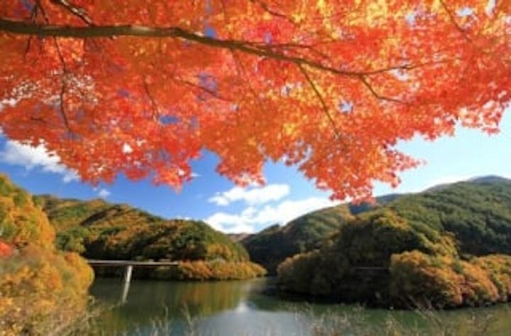 もみじ湖（箕輪ダム）