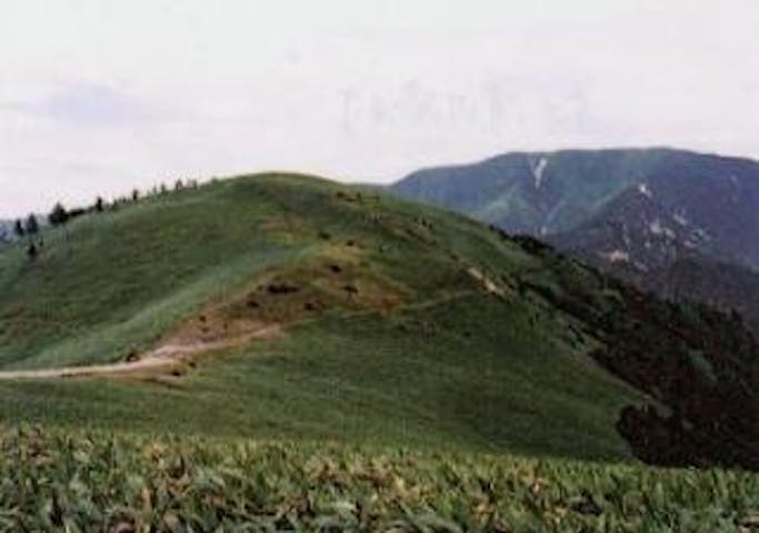 南沢高原