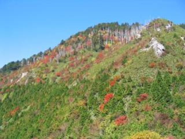 富士見台高原ヘブンスそのはら（紅葉）