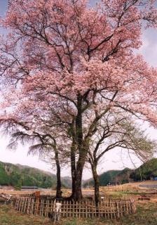 スポットの写真