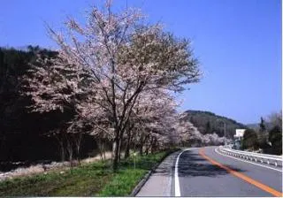 スポットの写真