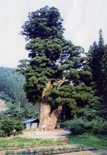 スポットの写真