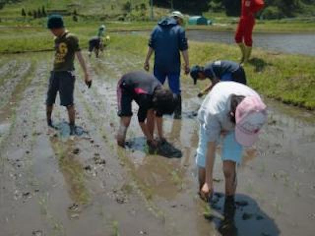 売木村山村留学センター