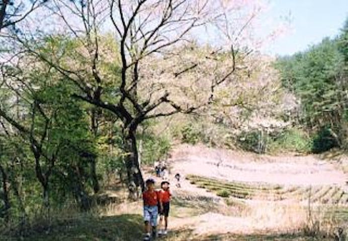 南信州ウォーキング天龍村コース