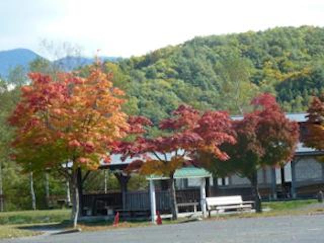 やぶはら高原　こだまの森