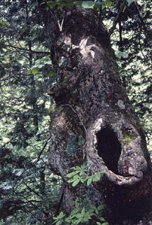 スポットの写真