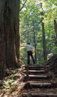 スポットの写真