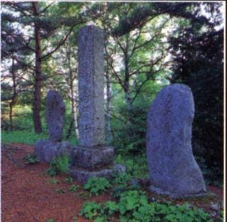 スポットの写真