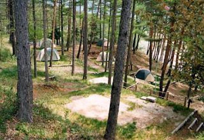 こだまの森キャンプ場