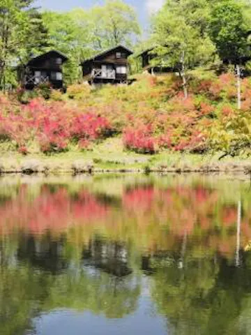 のぞきど森林公園キャンプ場 アソビュー