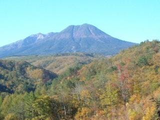 スポットの写真