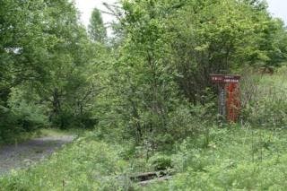 スポットの写真