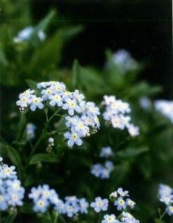 スポットの写真