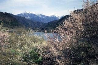 スポットの写真