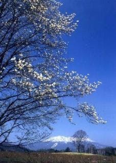 スポットの写真