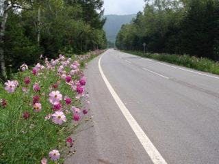 スポットの写真