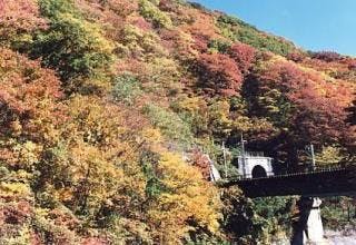 スポットの写真