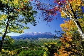 スポットの写真