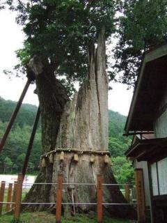 スポットの写真