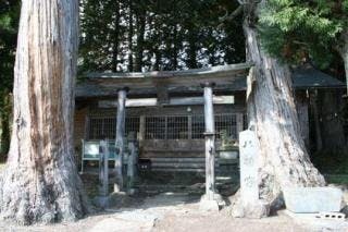 スポットの写真