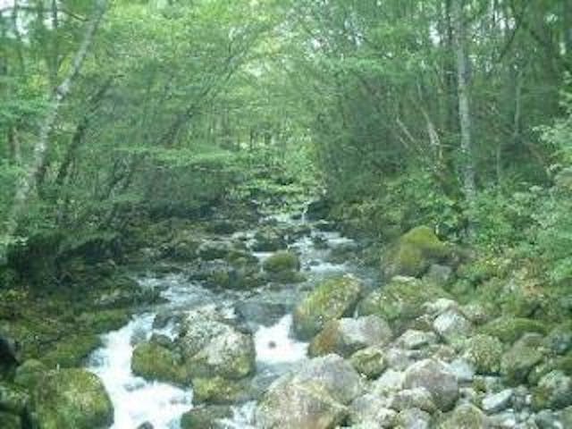 高原散策コース