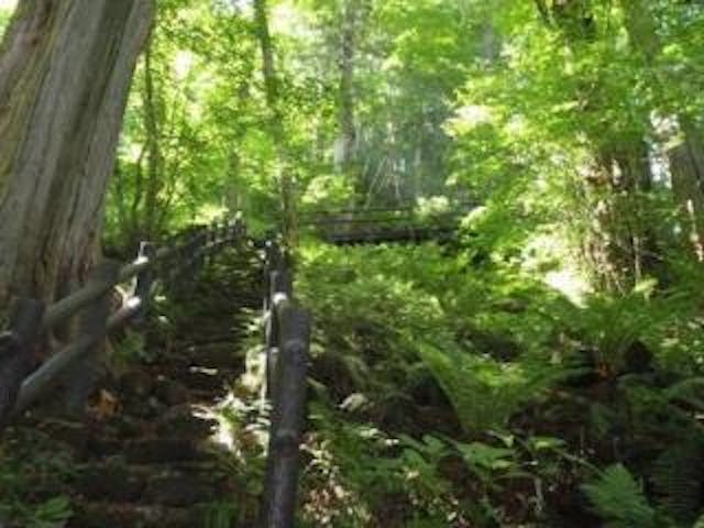 御嶽山麓　美林・滝めぐりコース