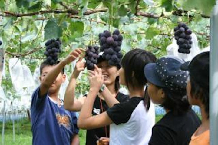生坂村農村公園
